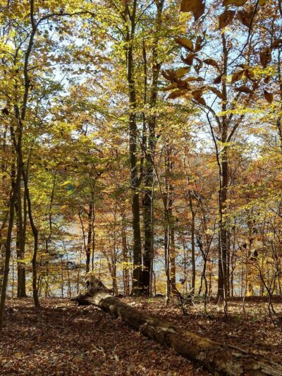 Bull Run Occoquan Trail - Clifton, VA