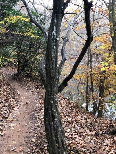 Bull Run-Occoquan Trail Yates Ford Road Trailhead - Clifton, VA