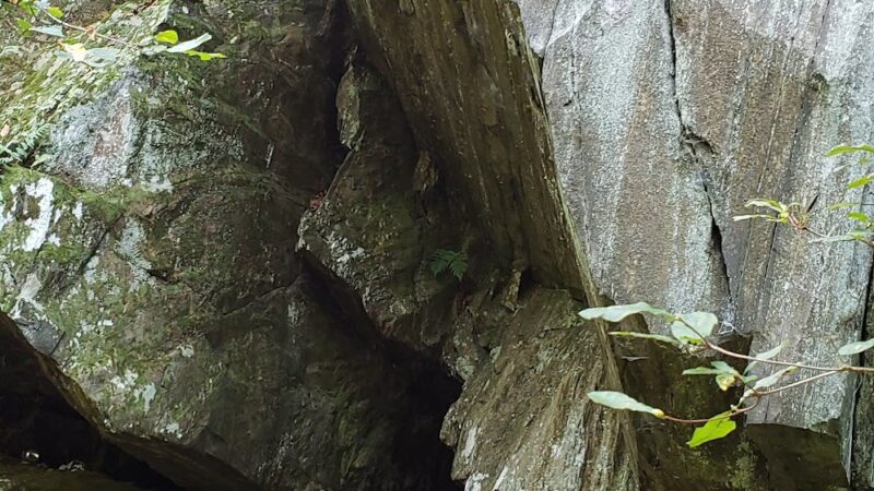 Bull Run-Occoquan Trail Yates Ford Road Trailhead - Clifton, VA