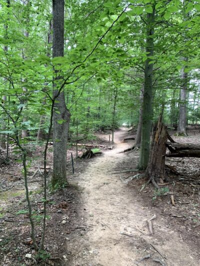 Hemlock Overlook Regional Park - Clifton, VA