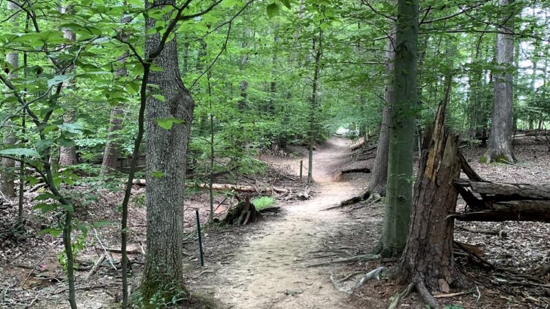 Hemlock Overlook Regional Park - Clifton, VA