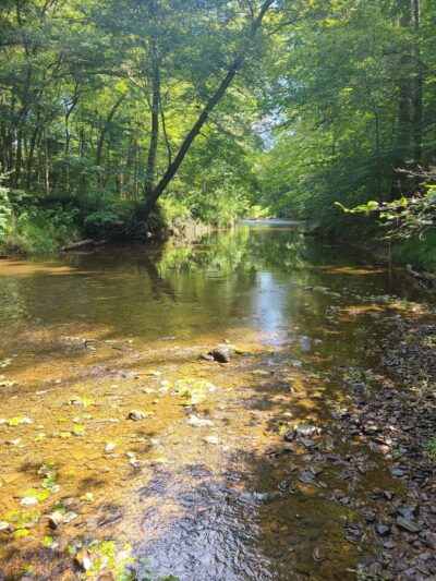 Webb Nature Sanctuary - Clifton, VA