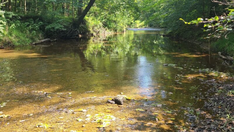 Webb Nature Sanctuary - Clifton, VA