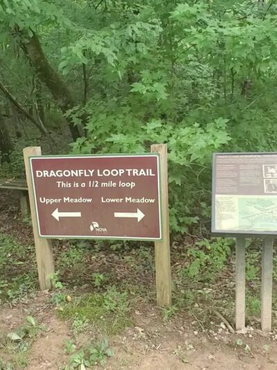 Webb Nature Sanctuary - Clifton, VA