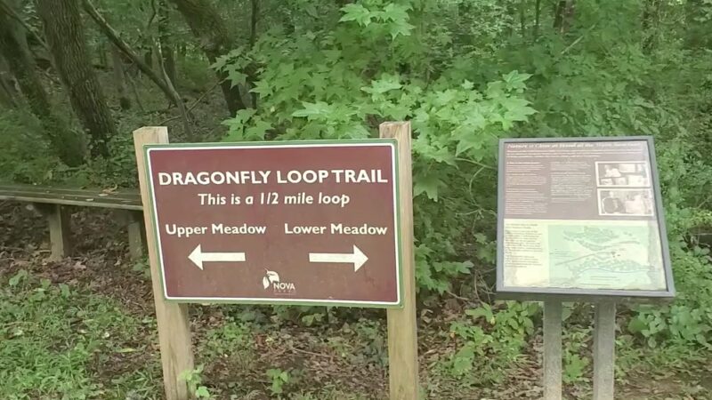 Webb Nature Sanctuary - Clifton, VA