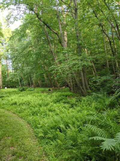 Webb Nature Sanctuary - Clifton, VA