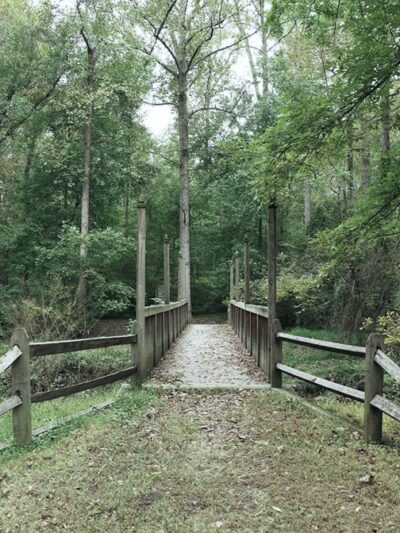 Webb Nature Sanctuary - Clifton, VA