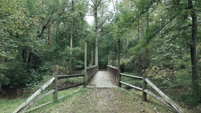 Webb Nature Sanctuary - Clifton, VA