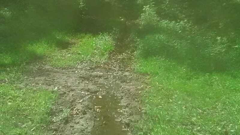 Climax Springs park - Climax Springs, MO