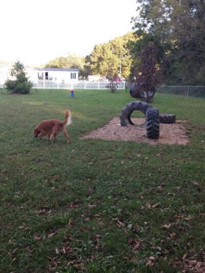 Sportland Park - Clinton, IN