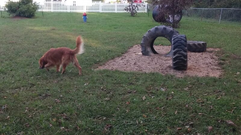 Sportland Park - Clinton, IN