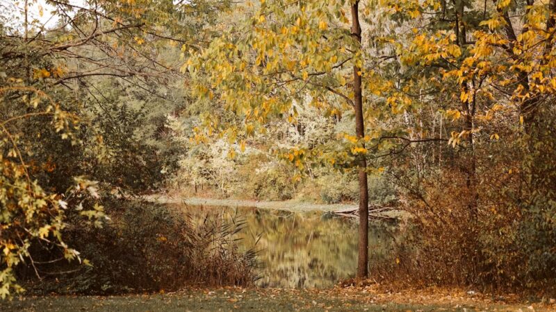 Universal Fishing and Recreation Park - Clinton, IN