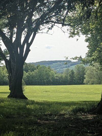 Kirkland Town Park - Clinton, NY