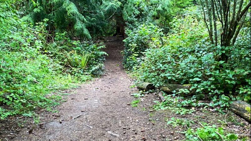 Marguerite Brons Memorial Park - Clinton, WA