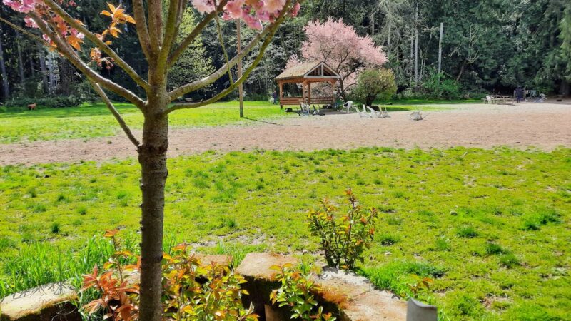 Marguerite Brons Memorial Park - Clinton, WA