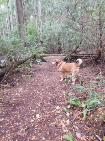 Marguerite Brons Memorial Park - Clinton, WA