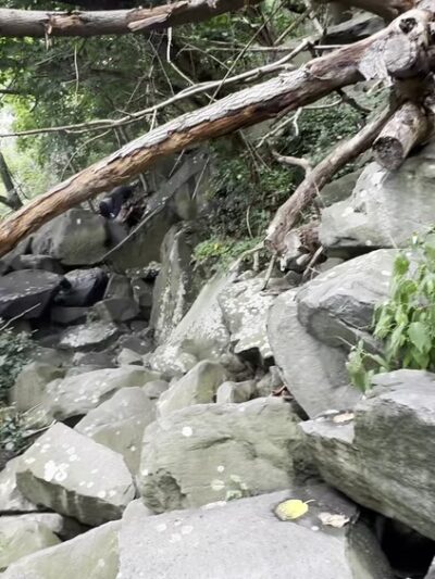 Giant Stairs Palisades - Closter, NJ