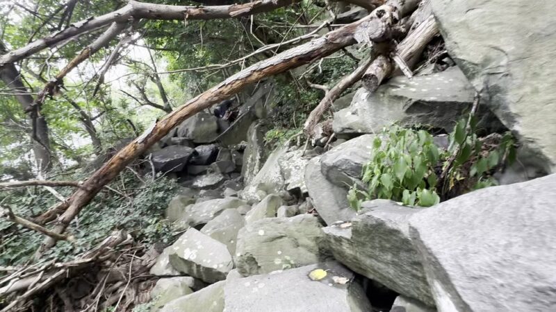 Giant Stairs Palisades - Closter, NJ