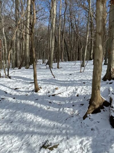 Glatt Headquarters Trail - Closter, NJ