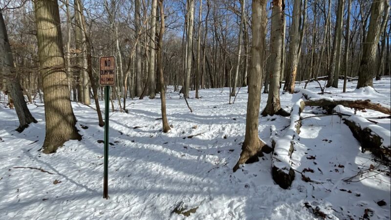 Glatt Headquarters Trail - Closter, NJ