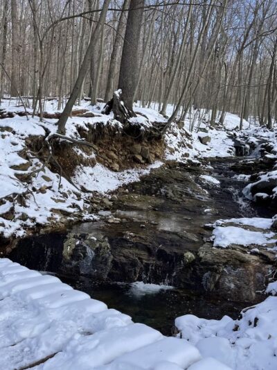 Glatt Headquarters Trail - Closter, NJ