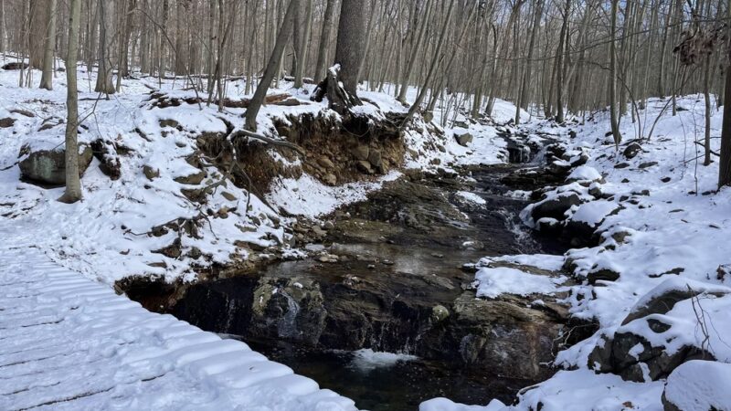 Glatt Headquarters Trail - Closter, NJ