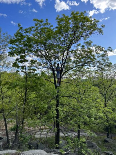 Glatt Headquarters Trail - Closter, NJ