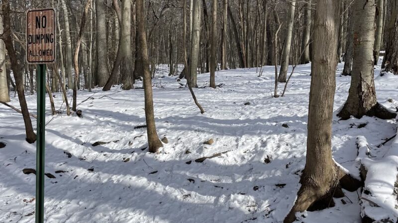Glatt Headquarters Trail - Closter, NJ