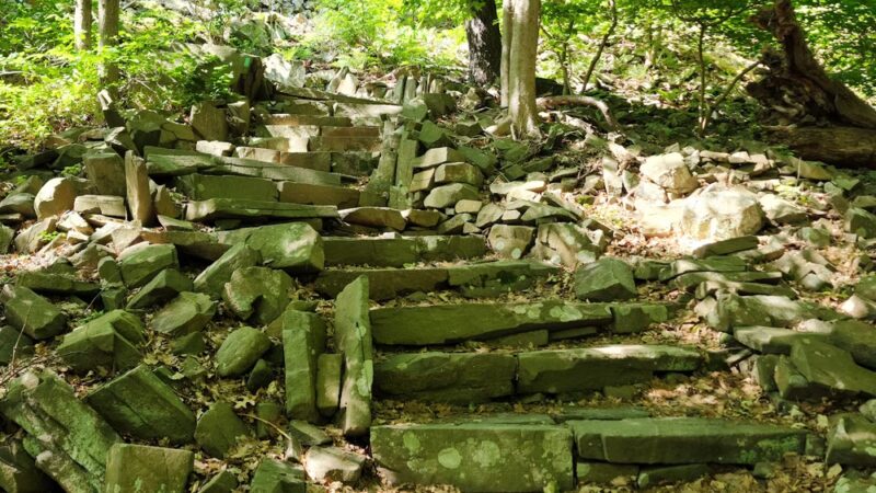 Palisades Hiking Spot - Closter, NJ