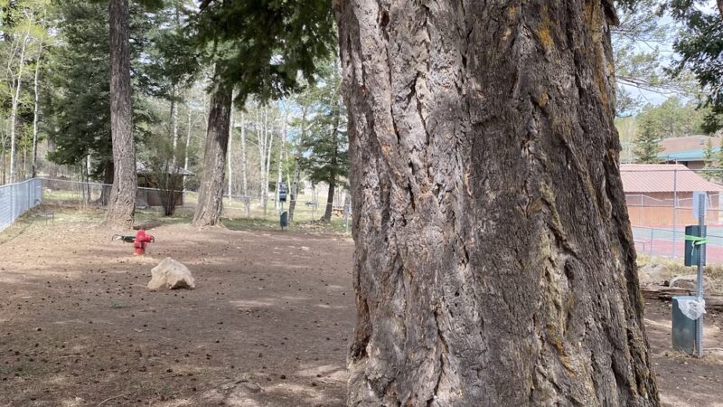 Cloudcroft Dog Park - Cloudcroft, NM