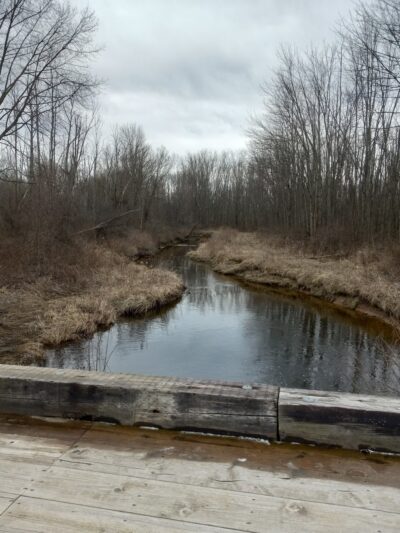 Black Brook County Park - Clyde, NY