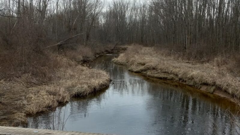 Black Brook County Park - Clyde, NY