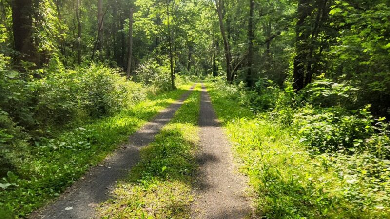 Black Brook County Park - Clyde, NY