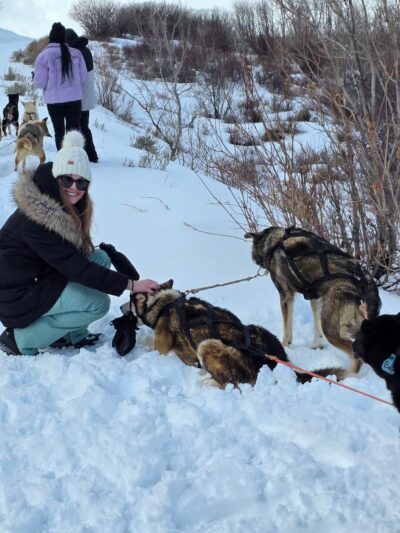 Bear Ridge Adventures (Dog Sledding) - Coalville, UT
