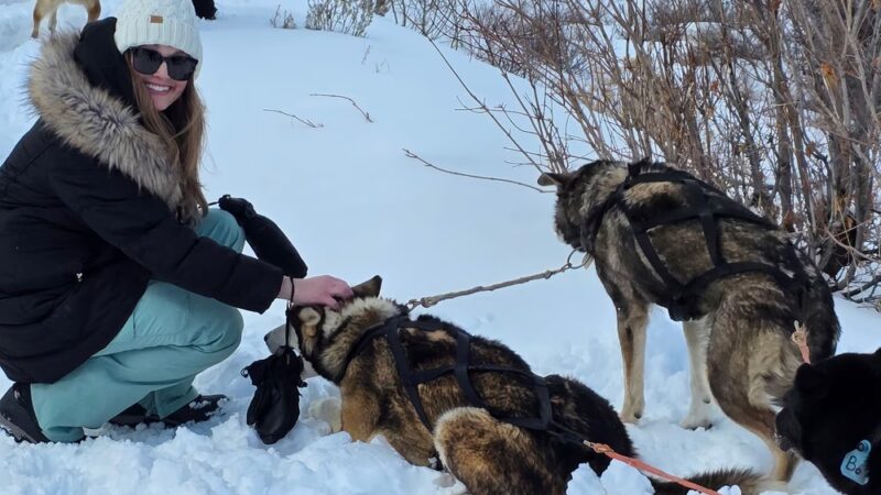 Bear Ridge Adventures (Dog Sledding) - Coalville, UT