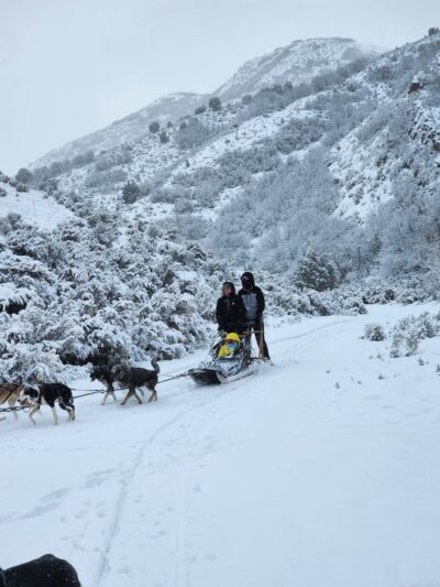 Bear Ridge Adventures (Dog Sledding) - Coalville, UT