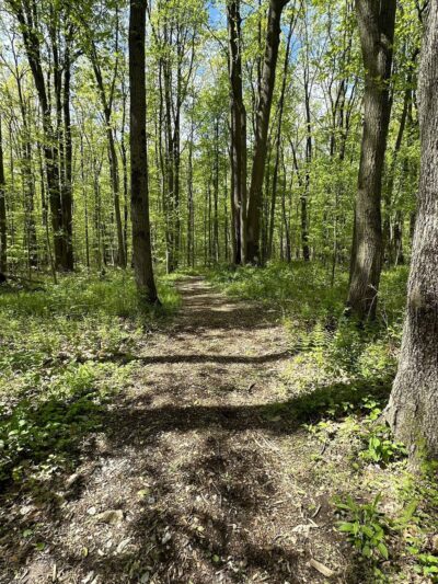 Birch Run Preserve - Coatesville, PA
