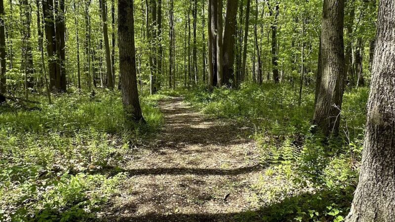 Birch Run Preserve - Coatesville, PA