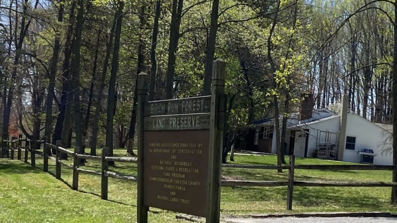 Birch Run Preserve - Coatesville, PA