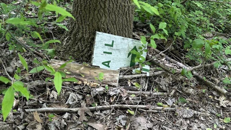 Birch Run Preserve - Coatesville, PA