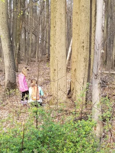 Birch Run Preserve - Coatesville, PA
