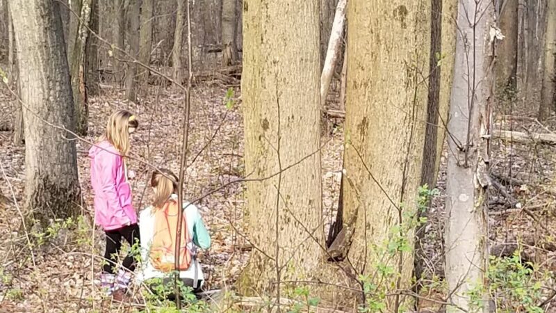 Birch Run Preserve - Coatesville, PA