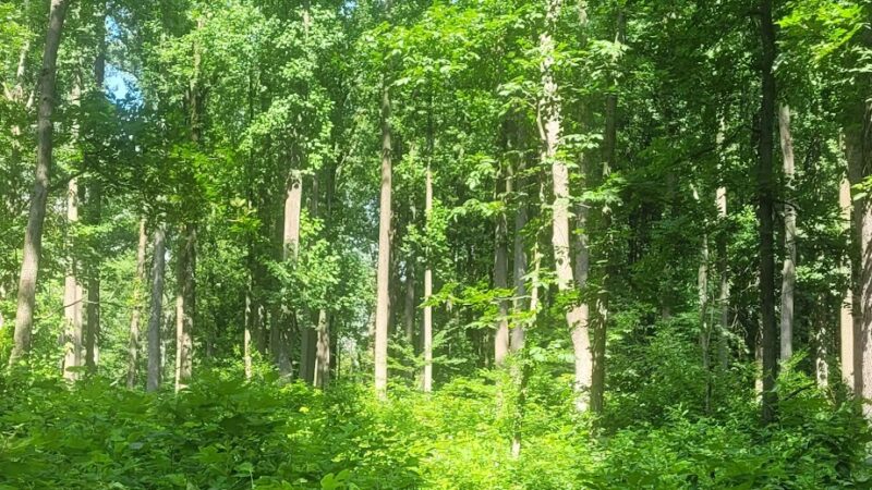 Lake Campground - Coatesville, PA