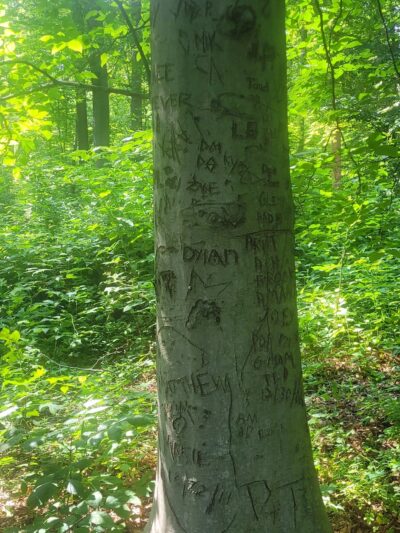 Lake Campground - Coatesville, PA