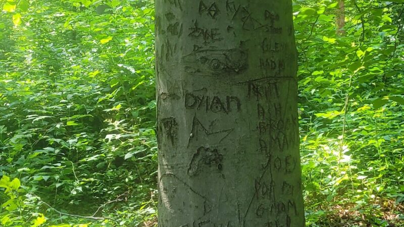 Lake Campground - Coatesville, PA