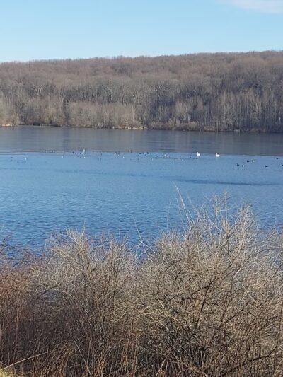 Lake Campground - Coatesville, PA