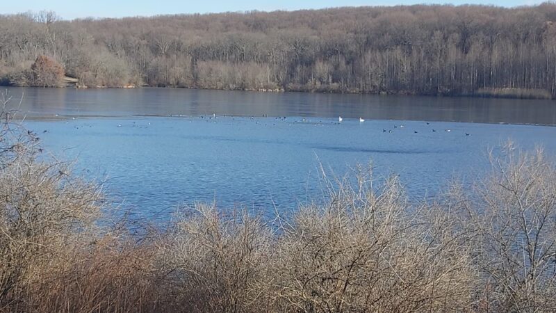 Lake Campground - Coatesville, PA