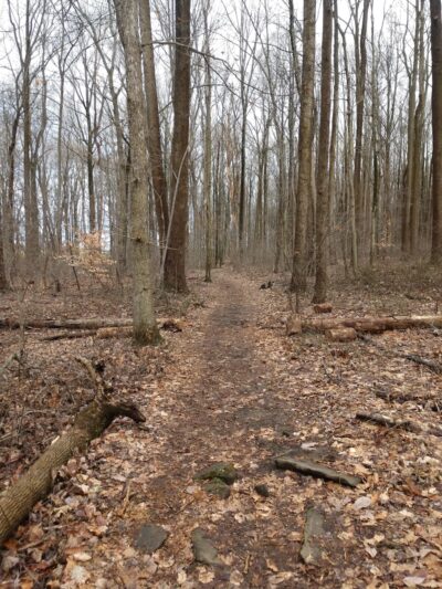 Natural Lands' Sadsbury Woods Preserve - Coatesville, PA