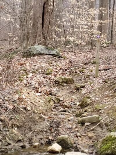 Natural Lands' Sadsbury Woods Preserve - Coatesville, PA