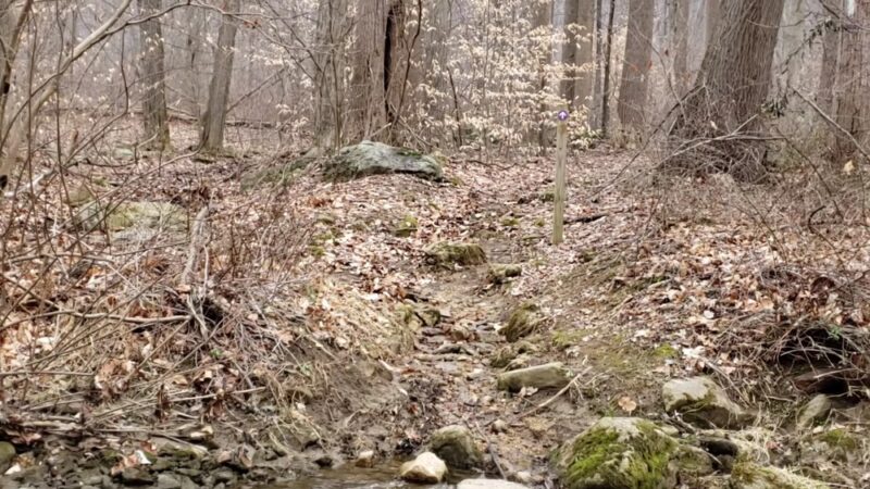 Natural Lands' Sadsbury Woods Preserve - Coatesville, PA